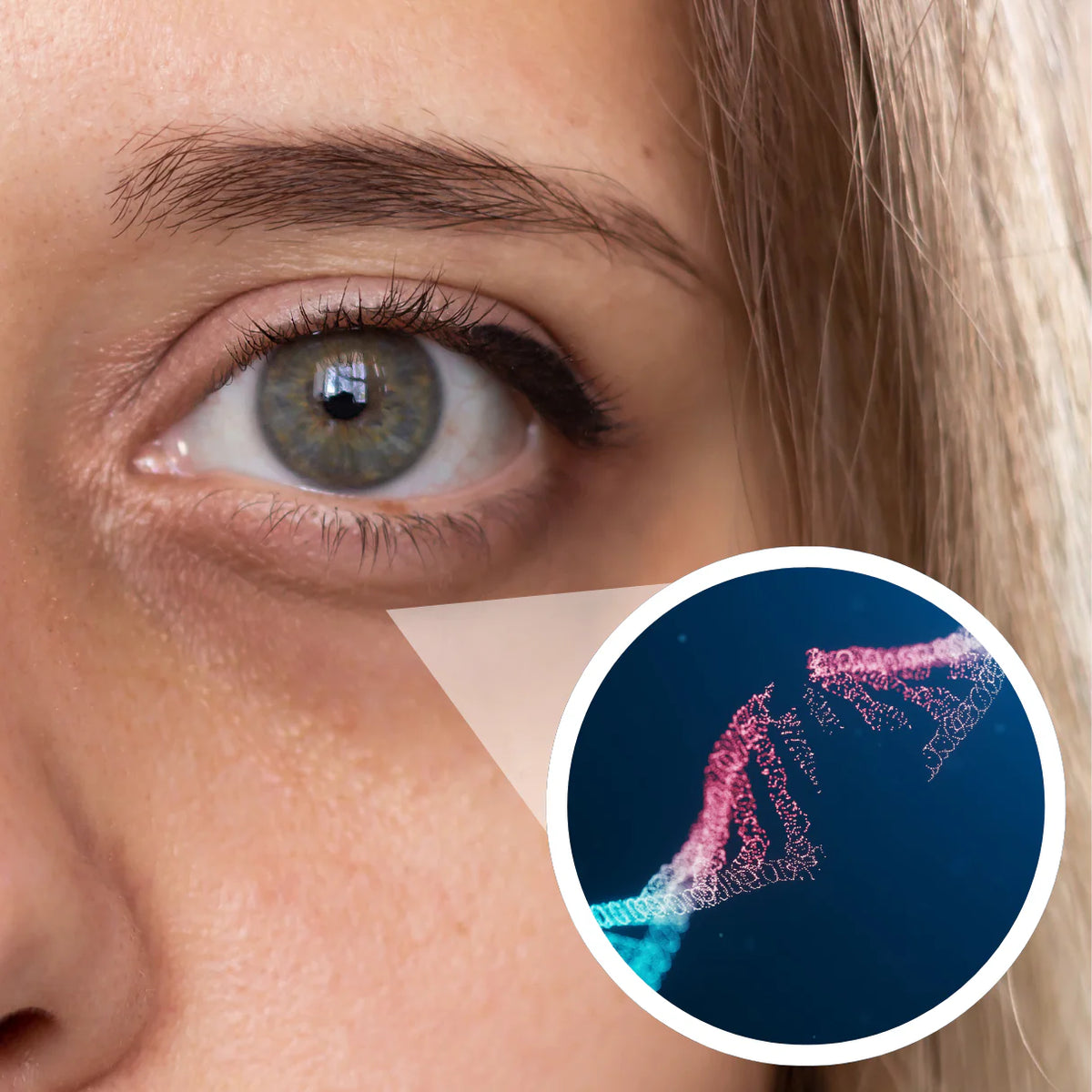 Split illustration — large molecules vs PDRN penetrating skin barrier