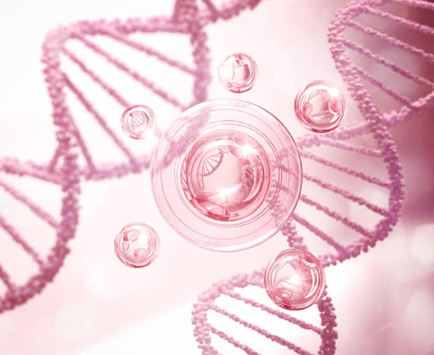 Cellular restoration compounds over time. Unlike filler, it does not break down.